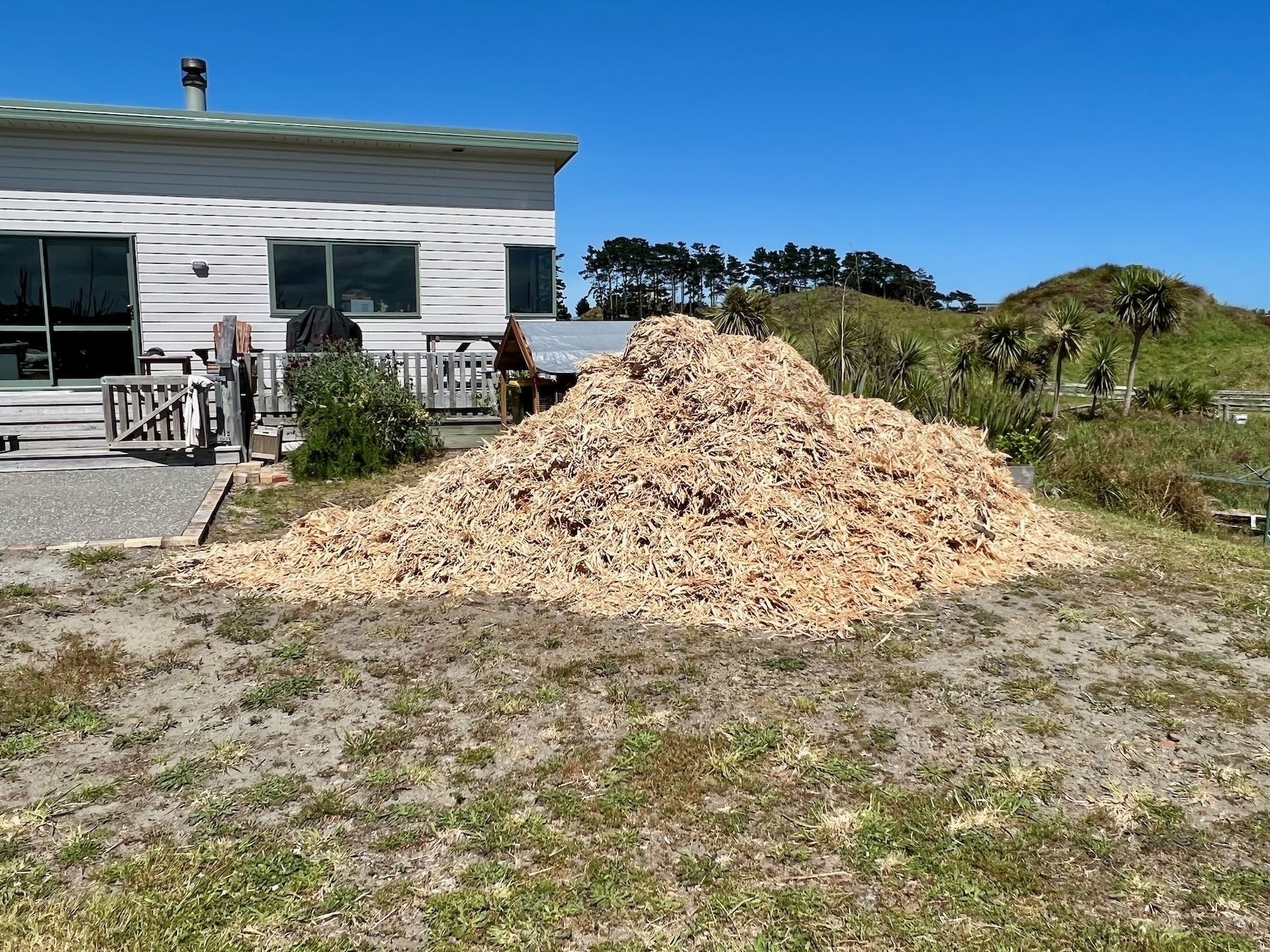 Pile of pine mulch near the house. 