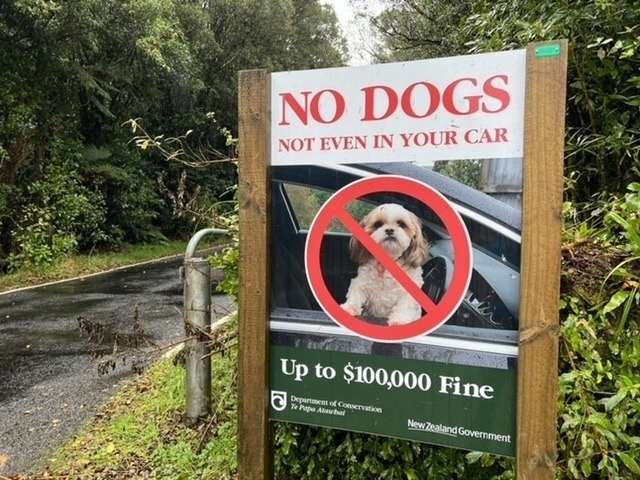 Sign says $100,000 fine for bringing a dog in the park, even inside a car. 
