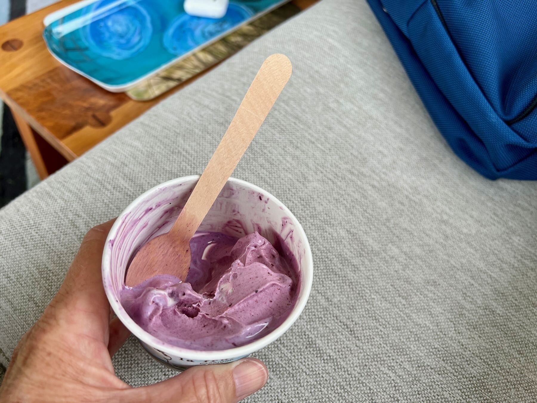 Blueberry farm ice cream.  