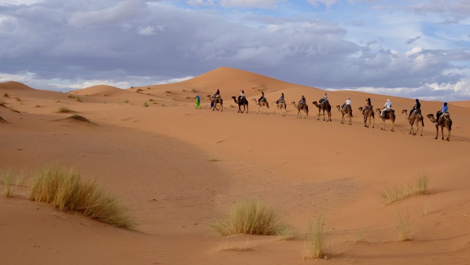 A line of camels being ridden through the desert. 