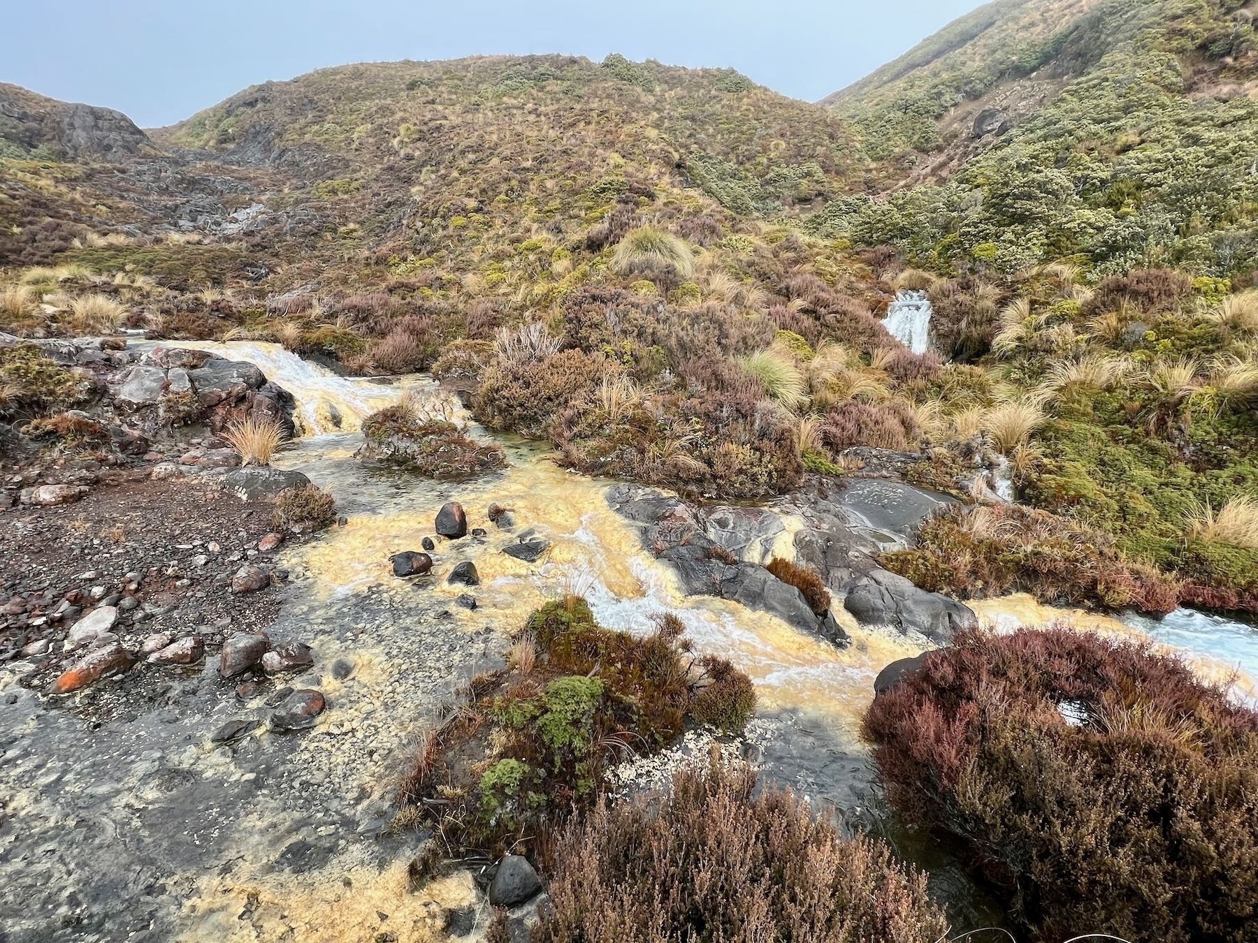 Silica Rapids stream flowing across yellowed rocks. 