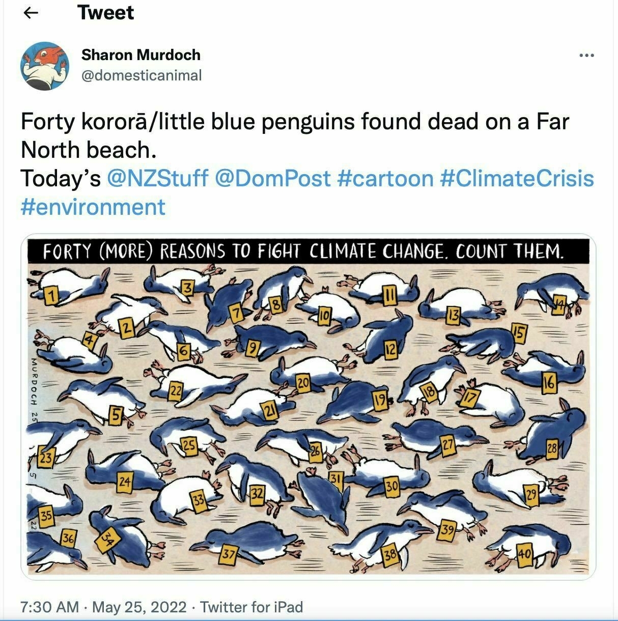 Cartoon shows 40 numbered little blue penguins lying dead on a beach. 