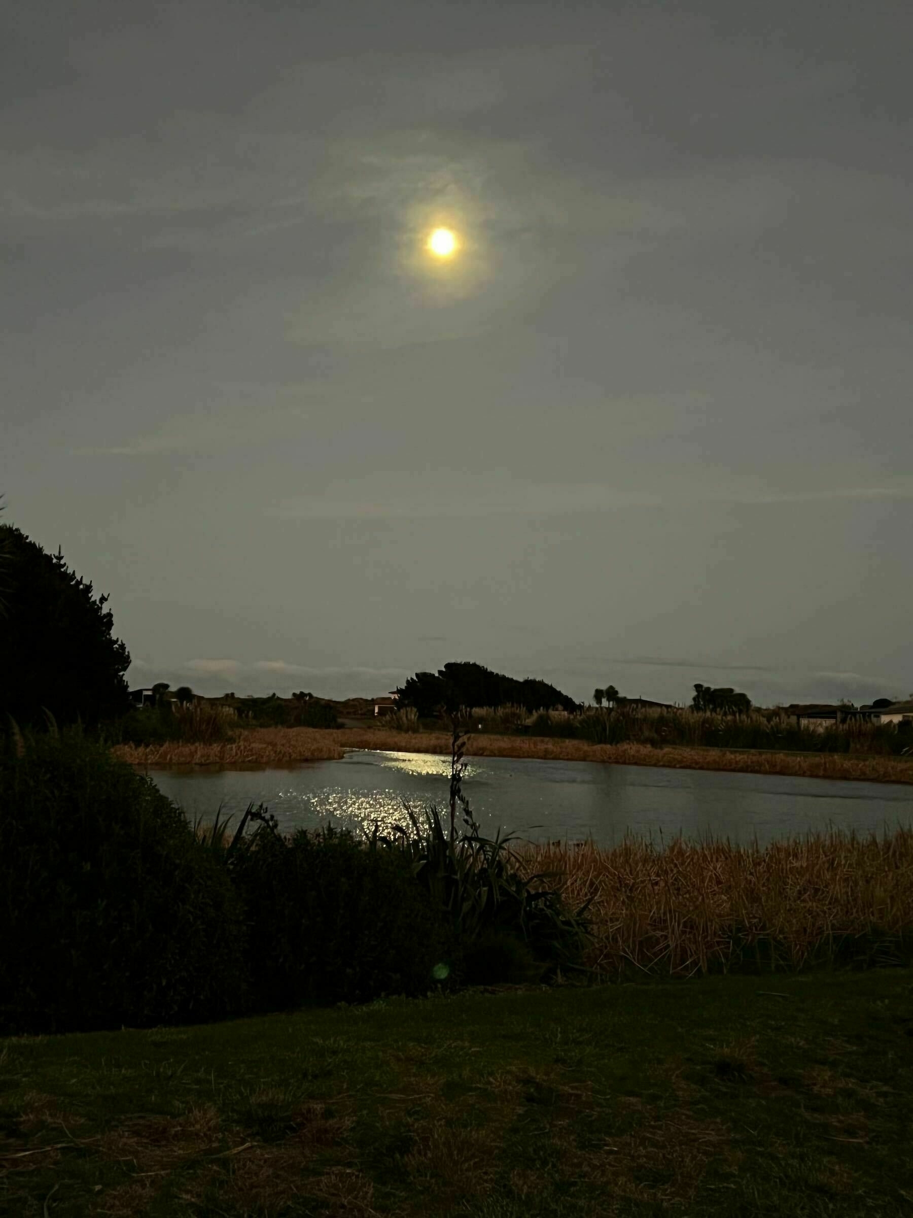 Silvery Moon reflected in the lake. 