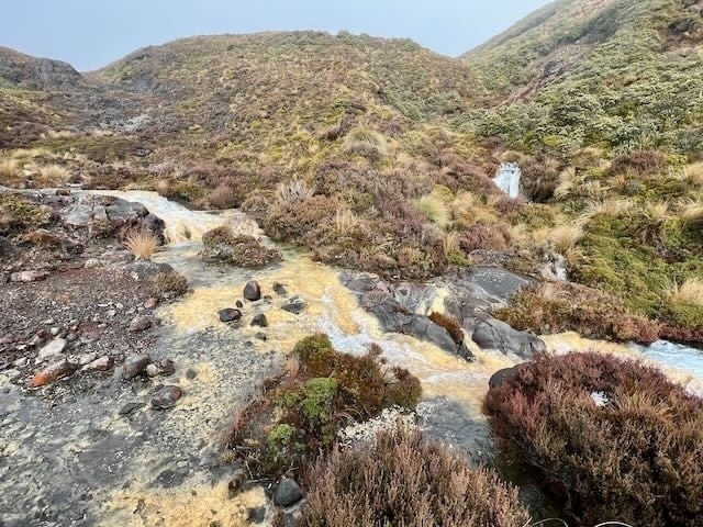 Silica Rapids with its yellow rocks. 