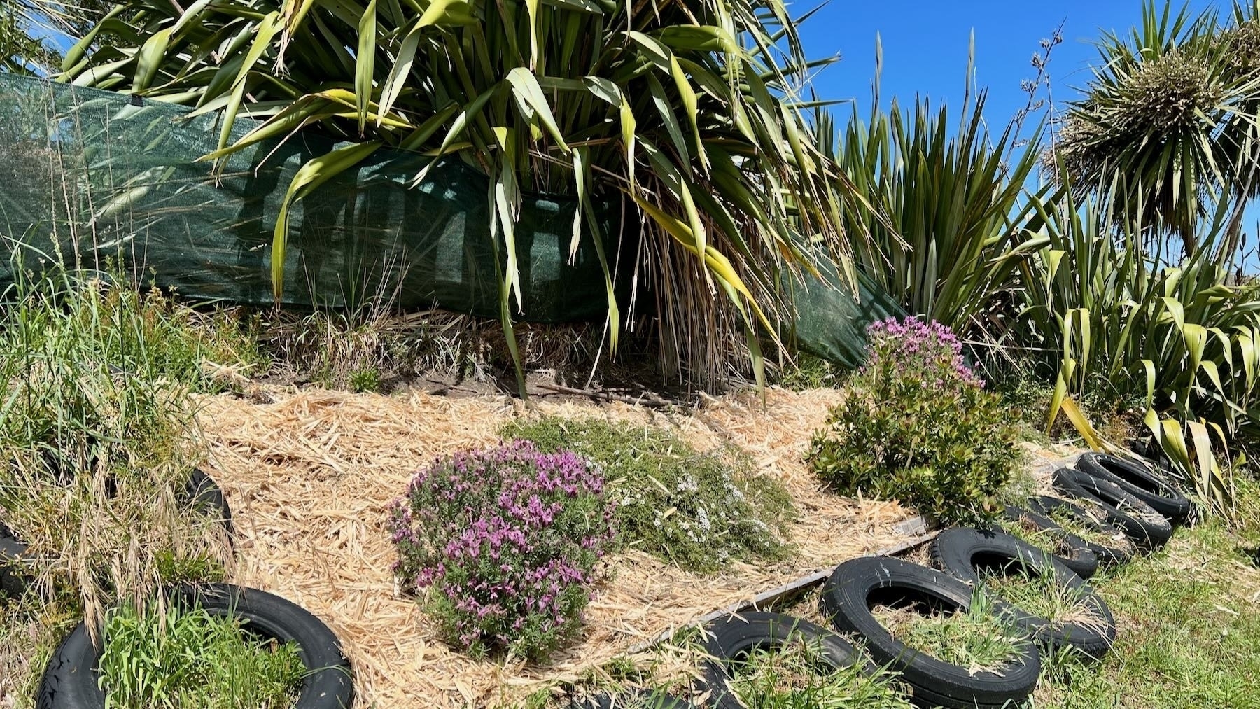 A mulched area. 