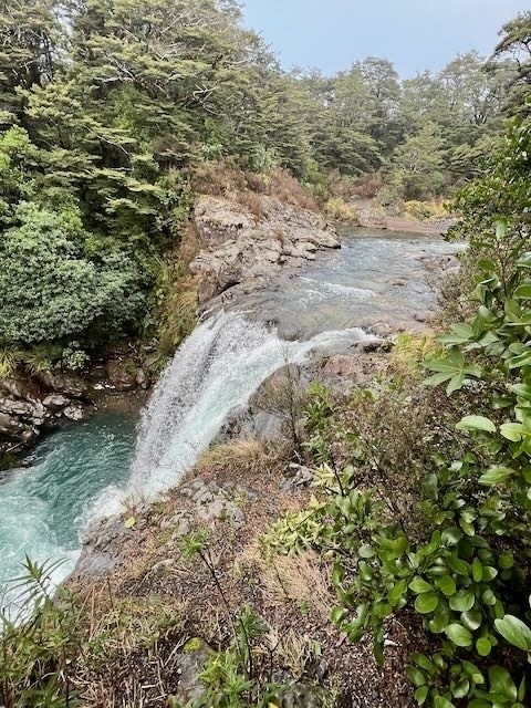 Tawhai Falls go over rocks into a blue green pool. 