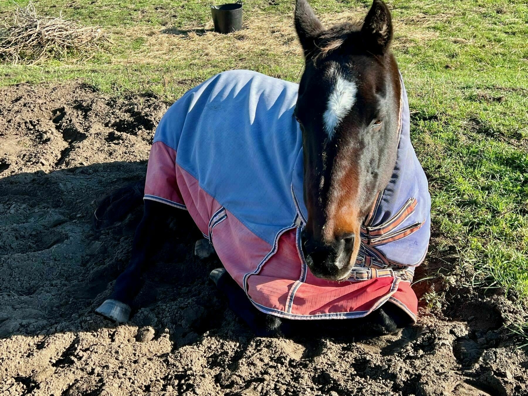 Horse with cover on, lying down on dark soil with legs mainly tucked under. 