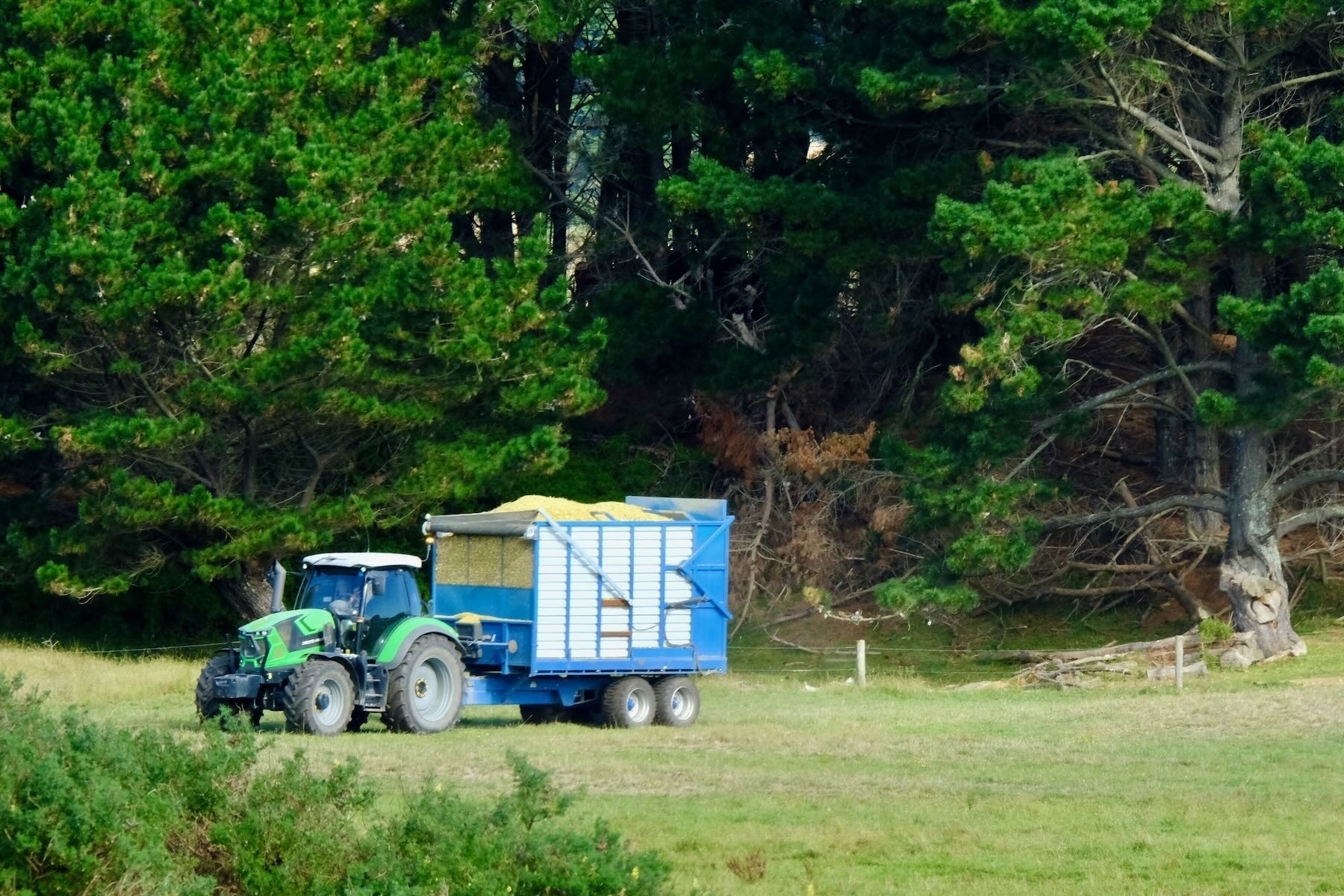 Tractor towing away a full trailer.  