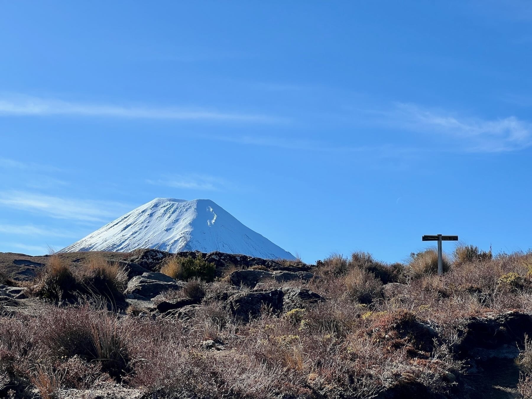 Snowy top of Mt Ngauruhoe above open scrub at the top of the track. 