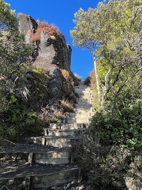 Taranaki Falls track steps. 