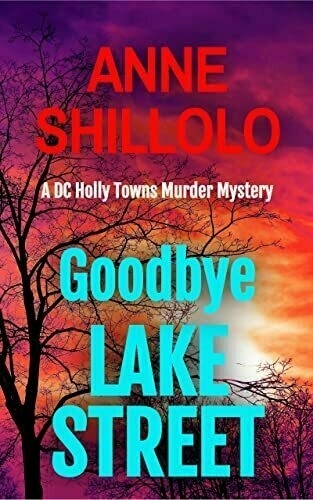 Book cover: Goodbye Lake Street.  