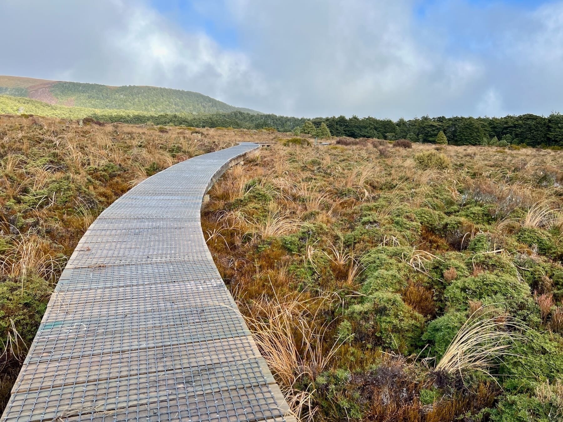 Board walk across alpine bog. 