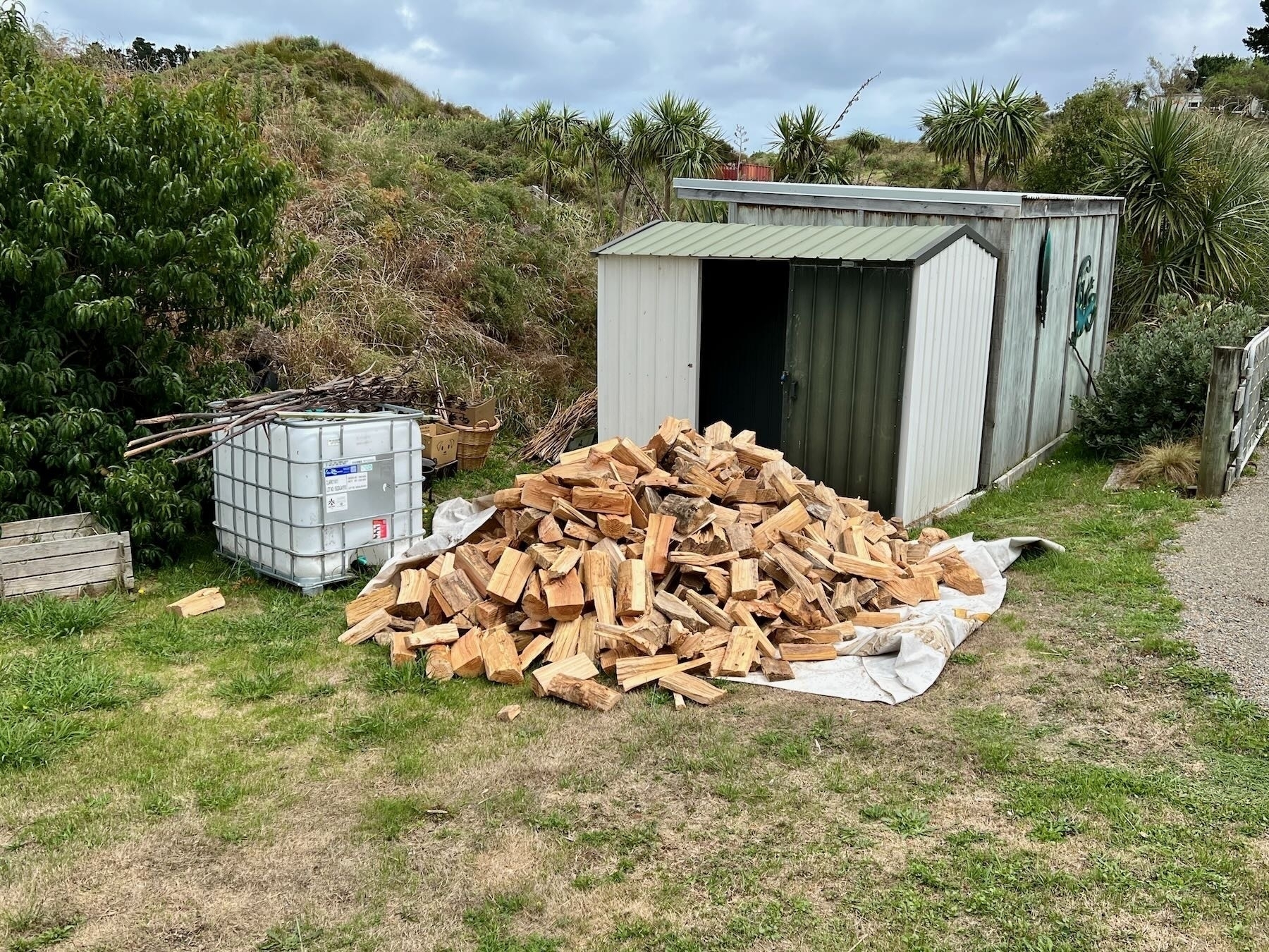 A pile of firewood on the ground in front of a shed. 