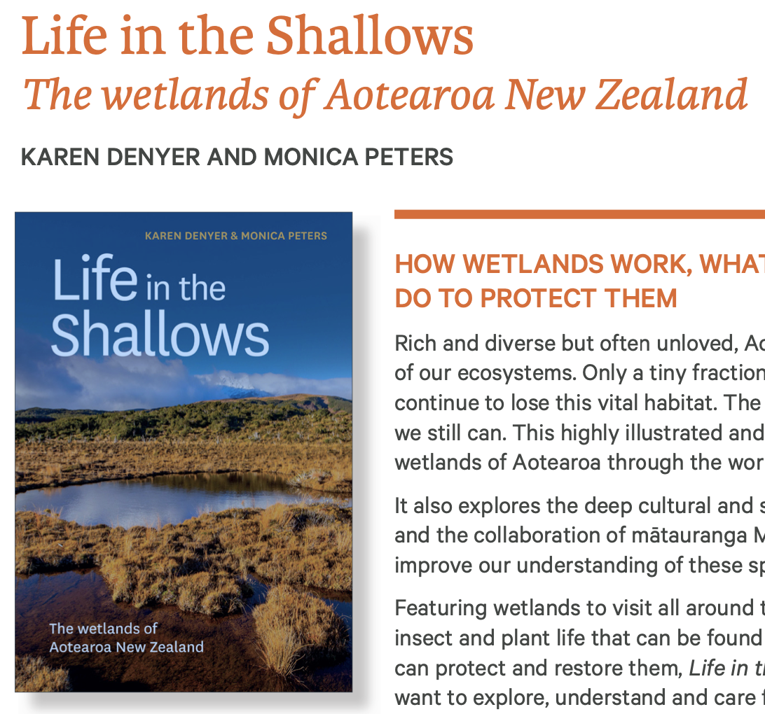 Book cover and part of the blurb (screenshot). 