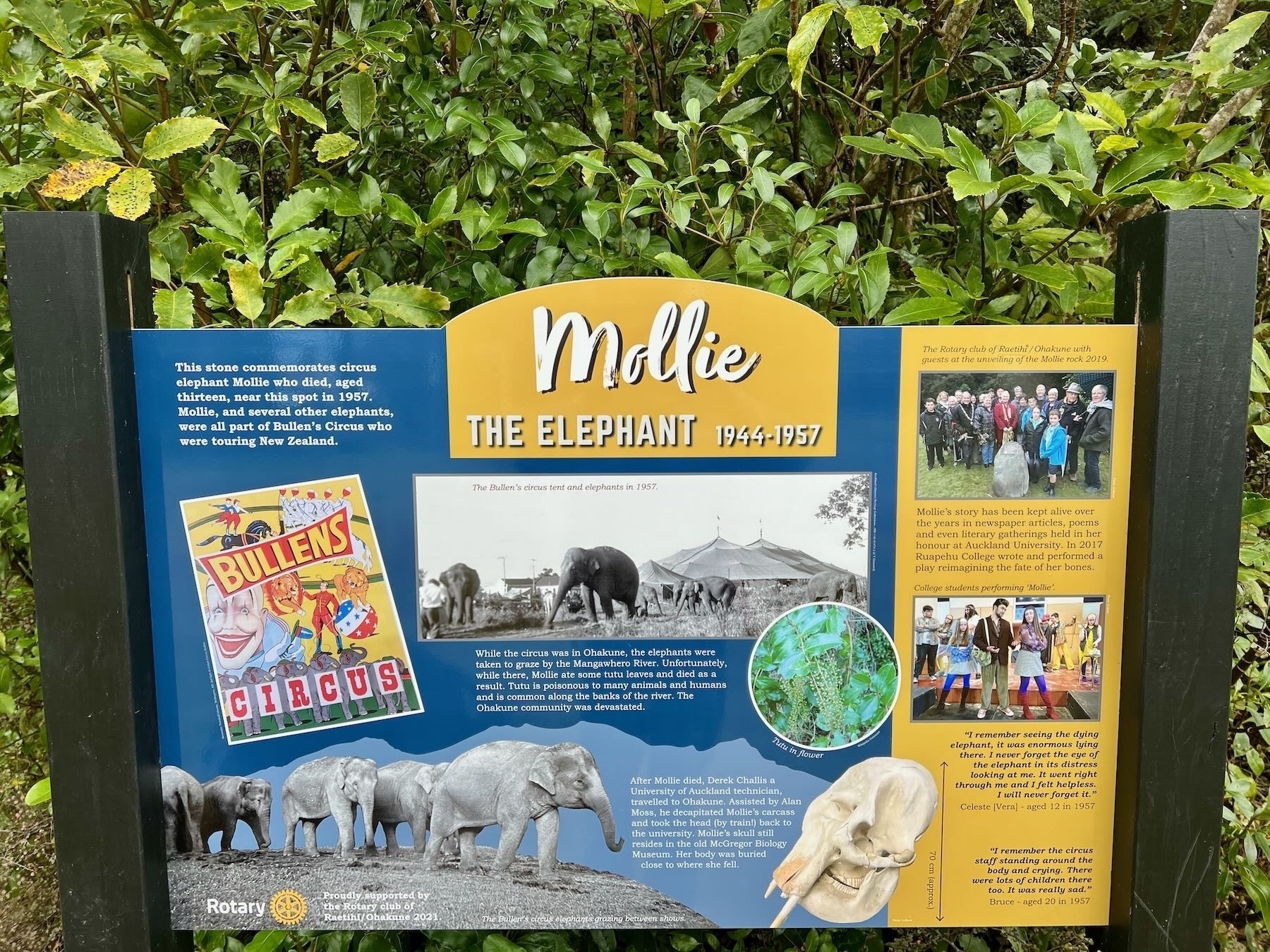 Iinfo sign: in memory of Mollie the elephant at Ohakune. 