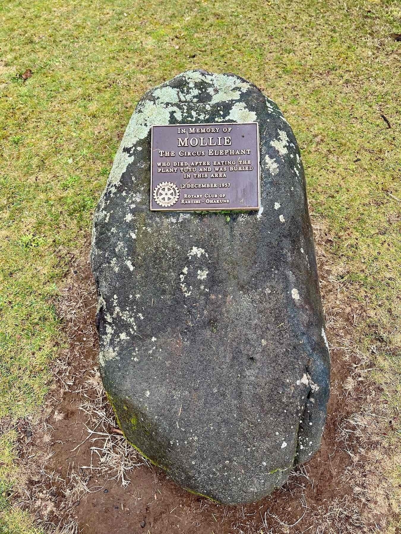 Stone in memory of Mollie the elephant at Ohakune. 
