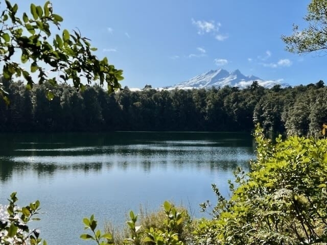 At Lake Rotokura near Ohakune, Mt Ruapehu in the background. 