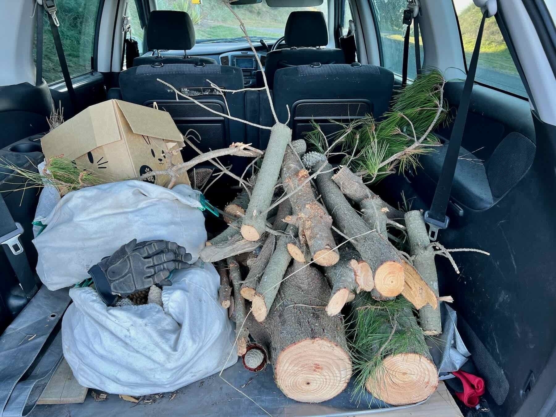 Small branches and bags of cones in the boot of my car. 