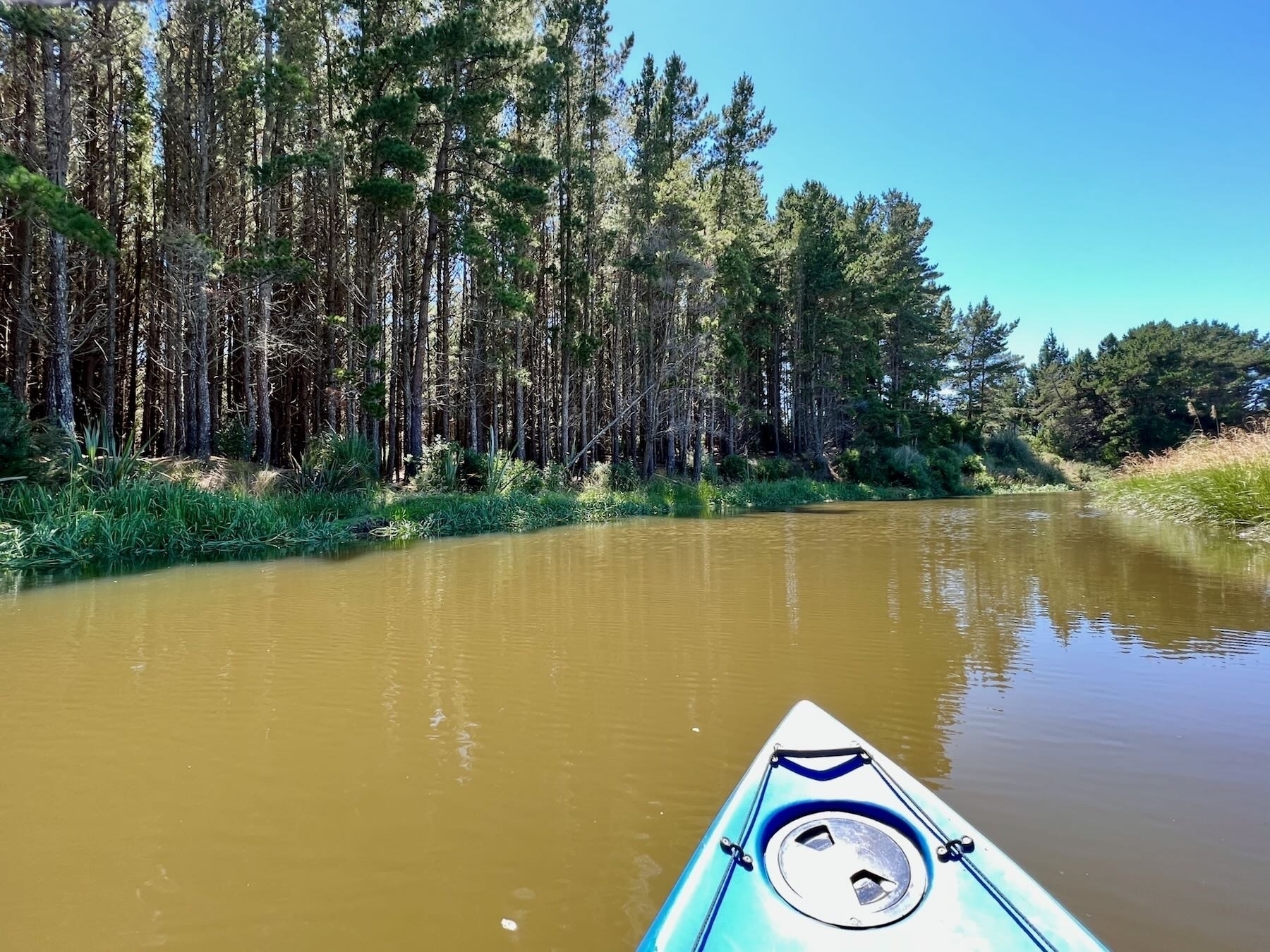 Trees, river and kayak prow. 