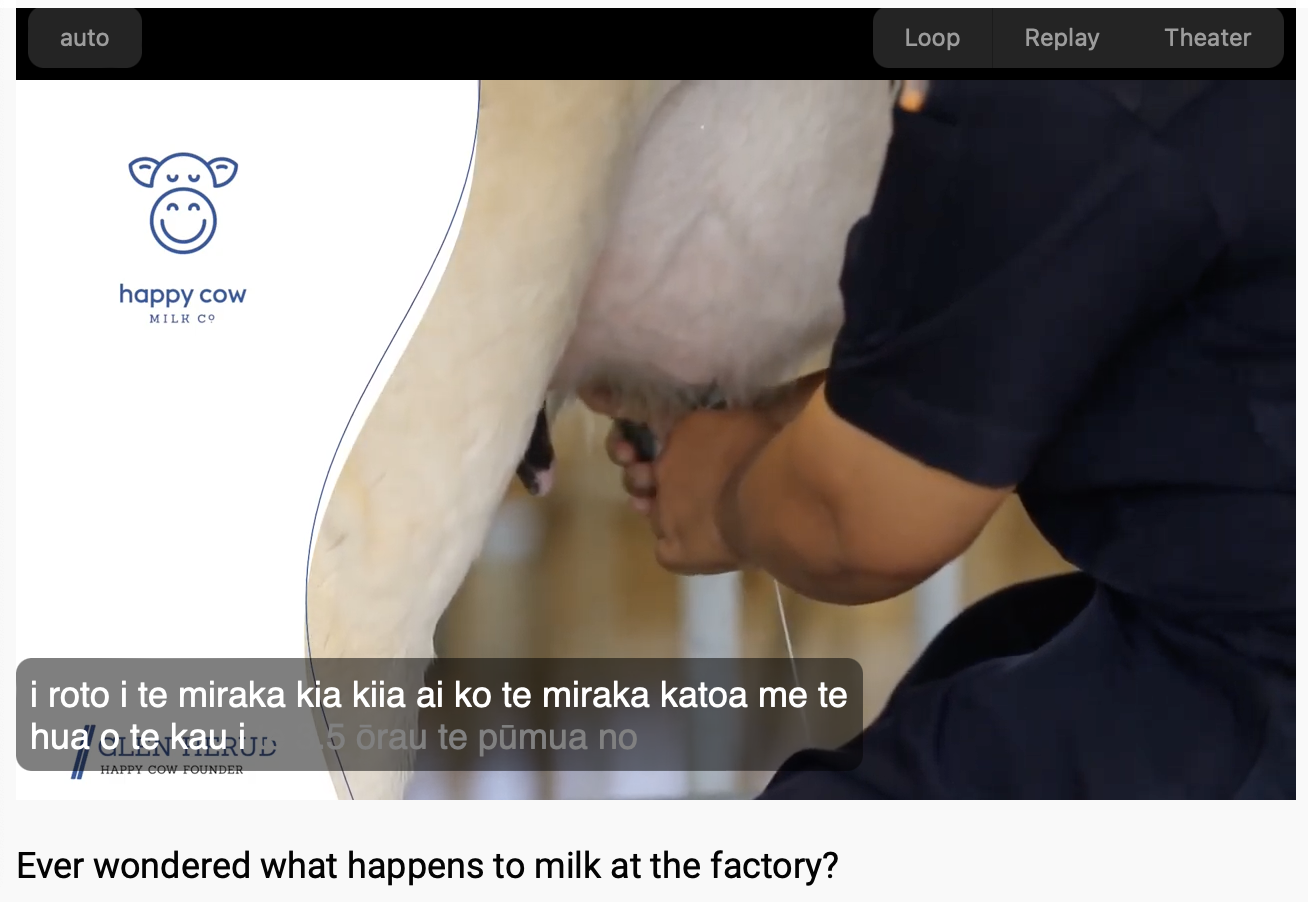 Screenshot from the video: someone milking a cow by hand. 