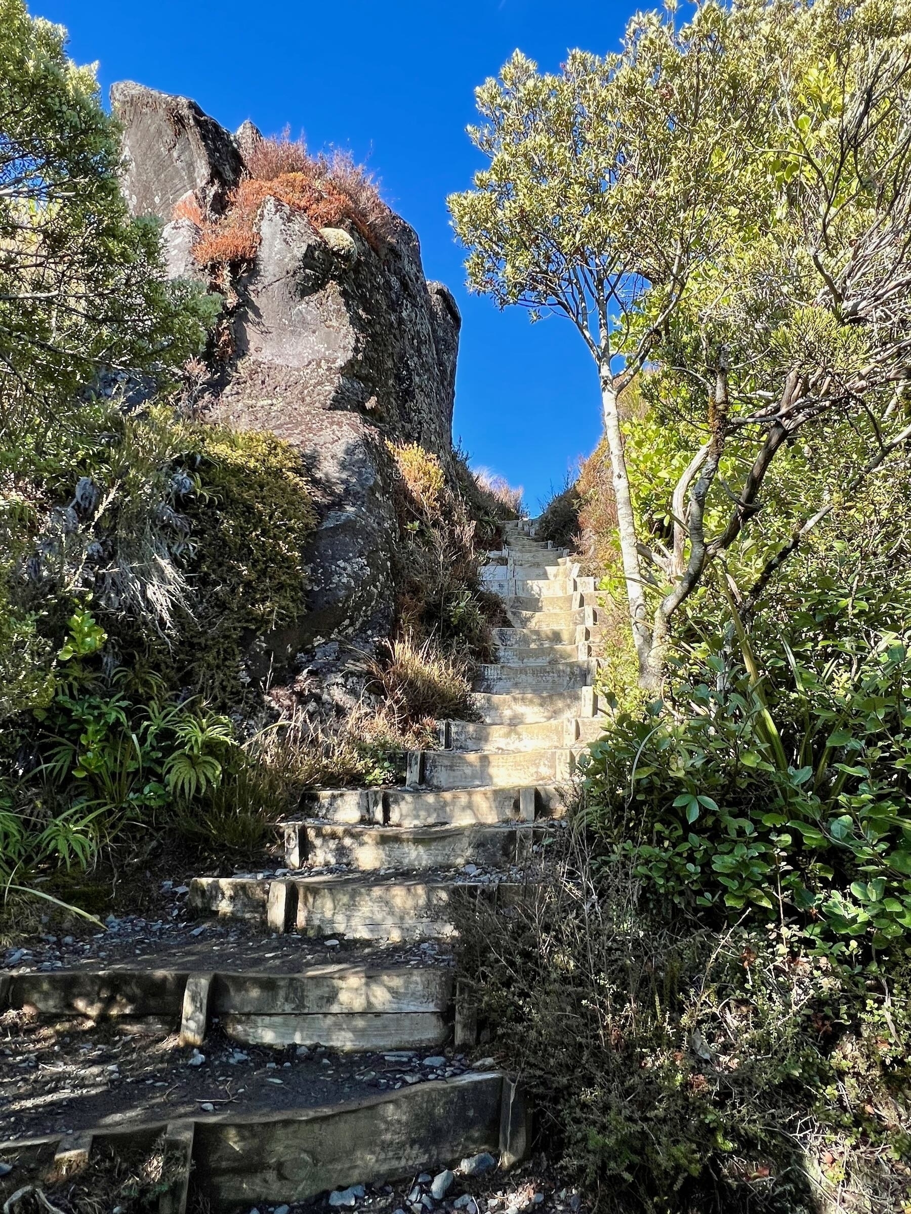 Steps just above Taranaki Falls. 