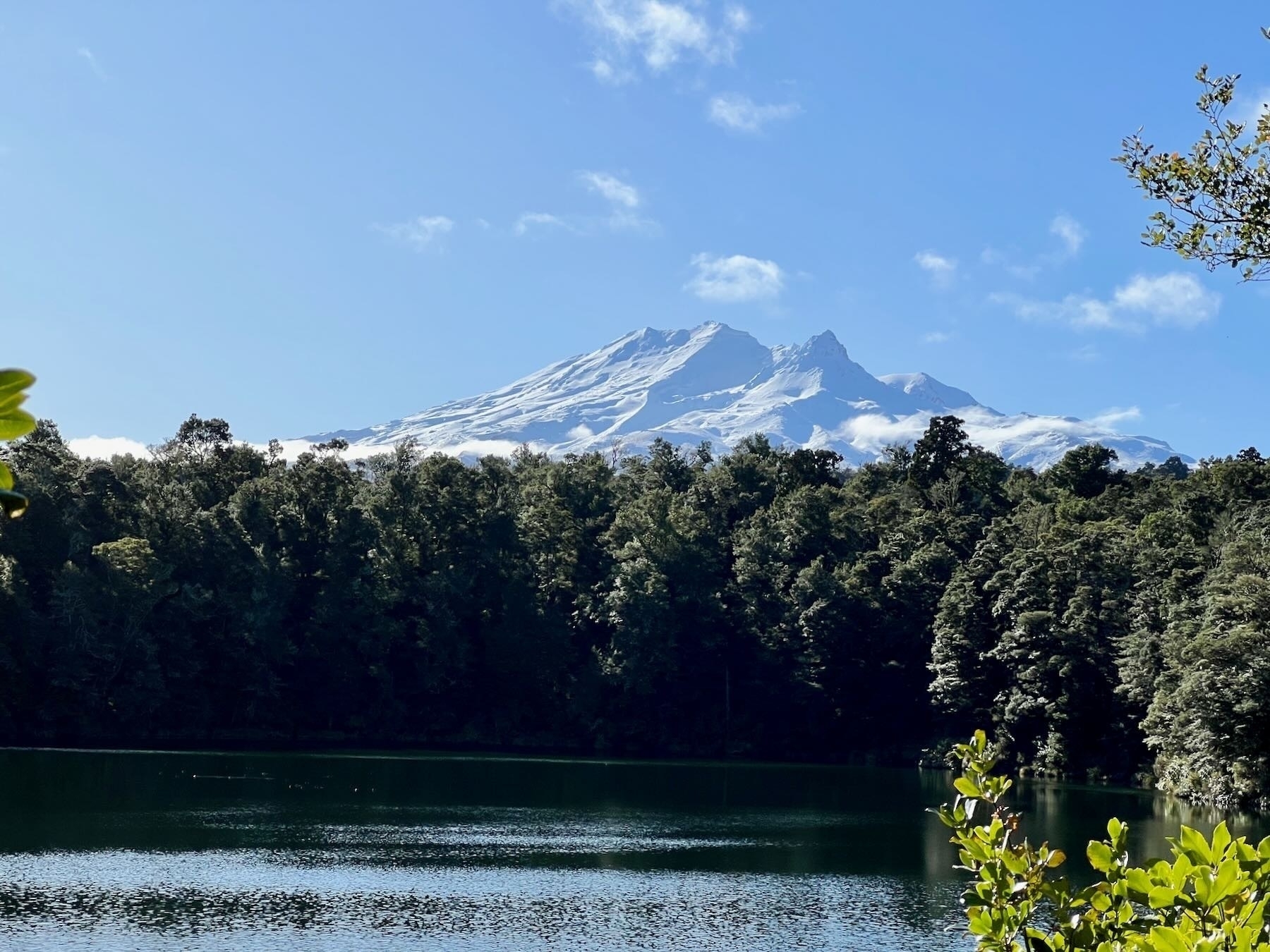 At Lake Rotokura — snow covered Mt Ruapehu behind the trees. 