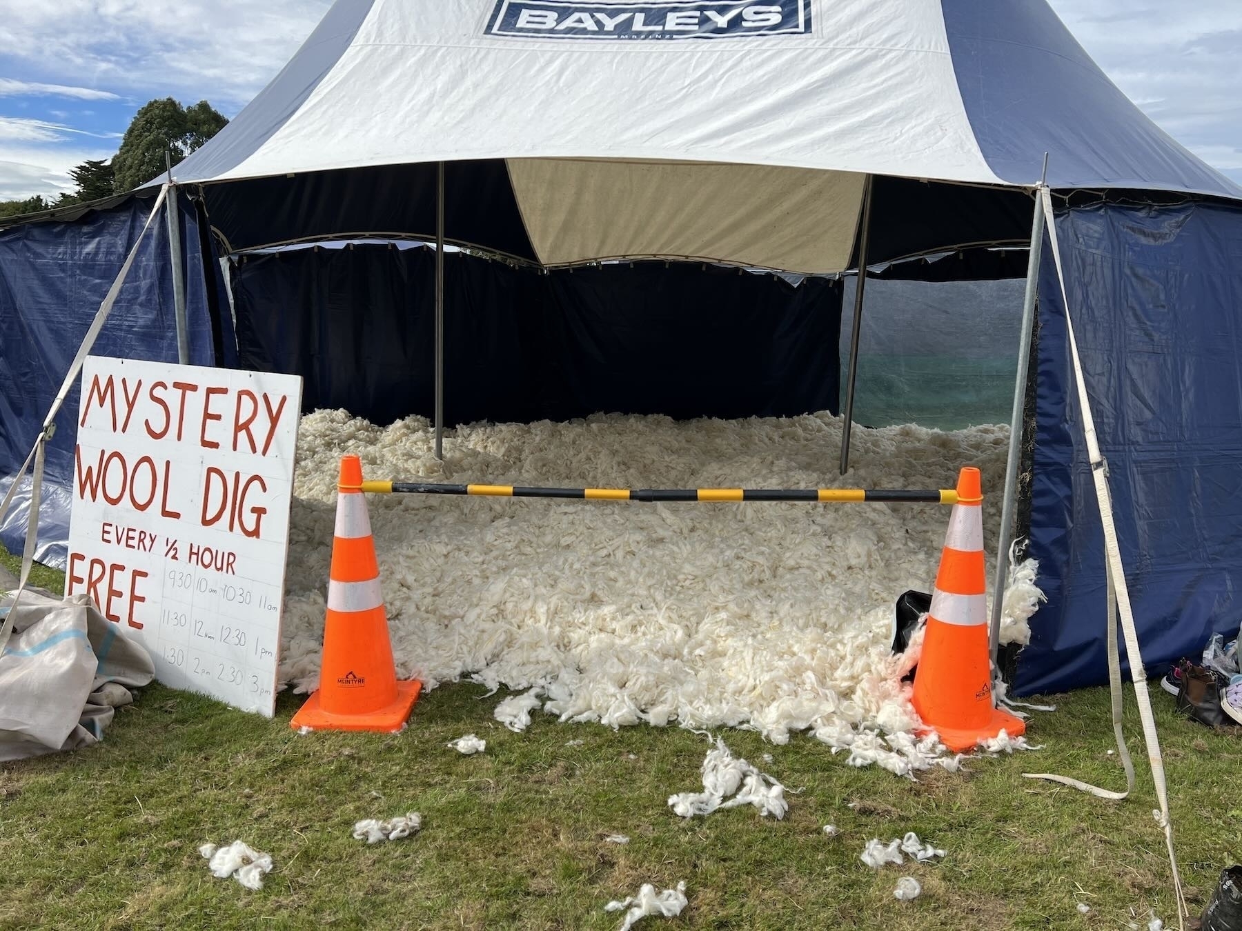 A tent of freshly shorn clean wool at least 50cm deep with prizes hidden below. 