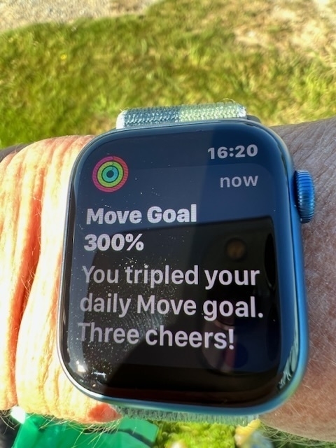 Tripled Move Goal notification on Watch. 