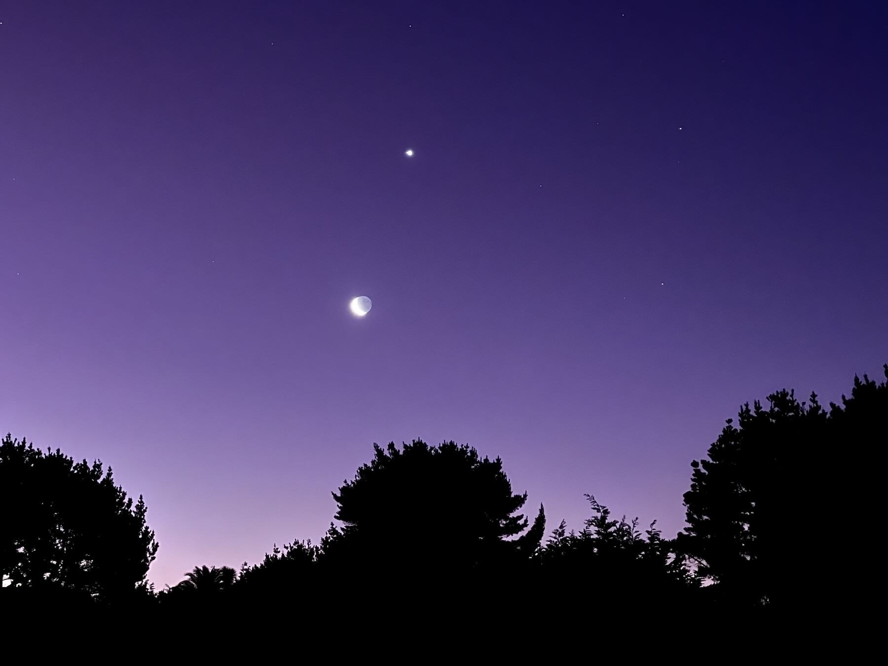 Crescent moon and Venus in the west, in an indigo sky, with trees below.