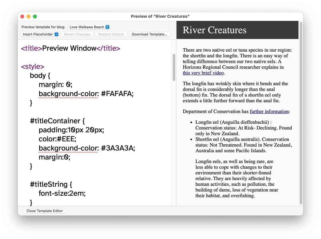 The Preview window with template Editor open. 