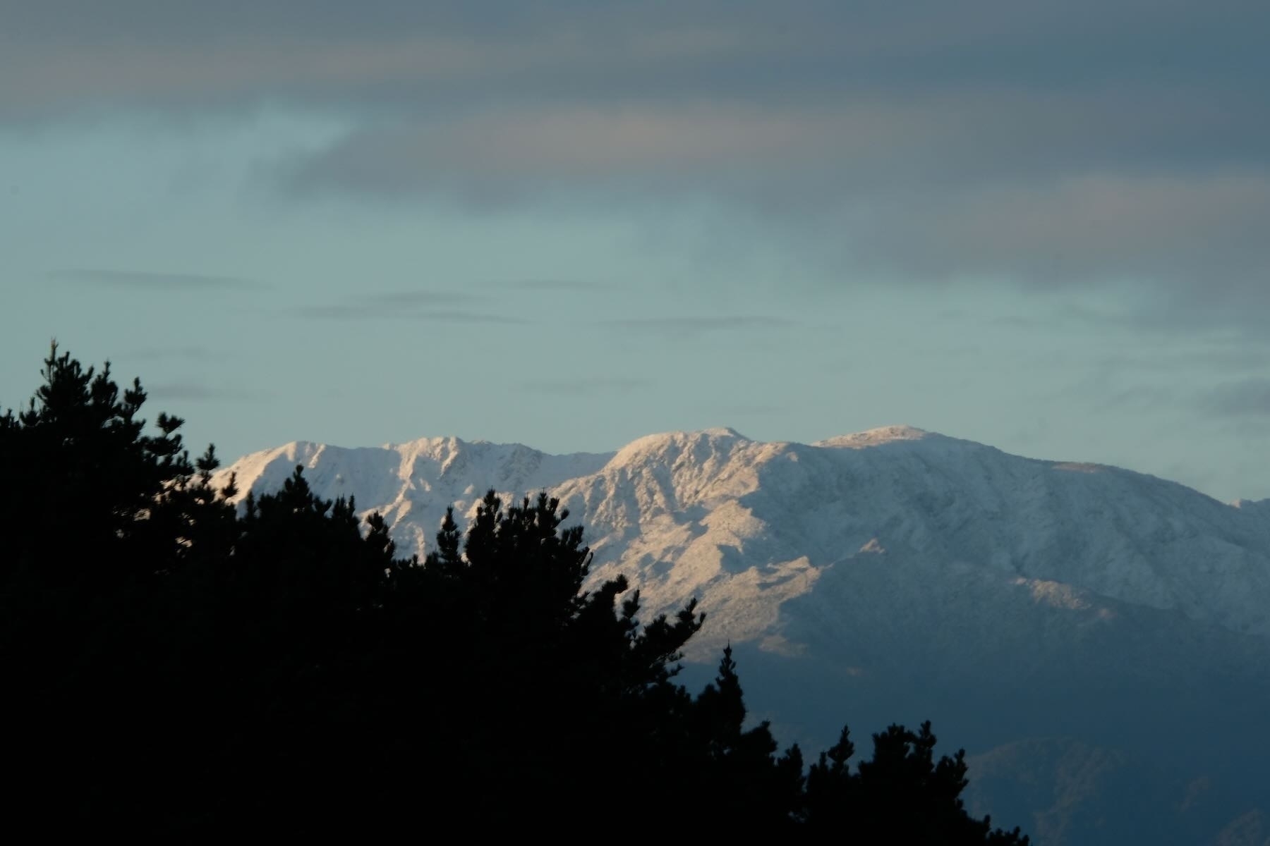 Snow capped mountains, with trees in foreground. 