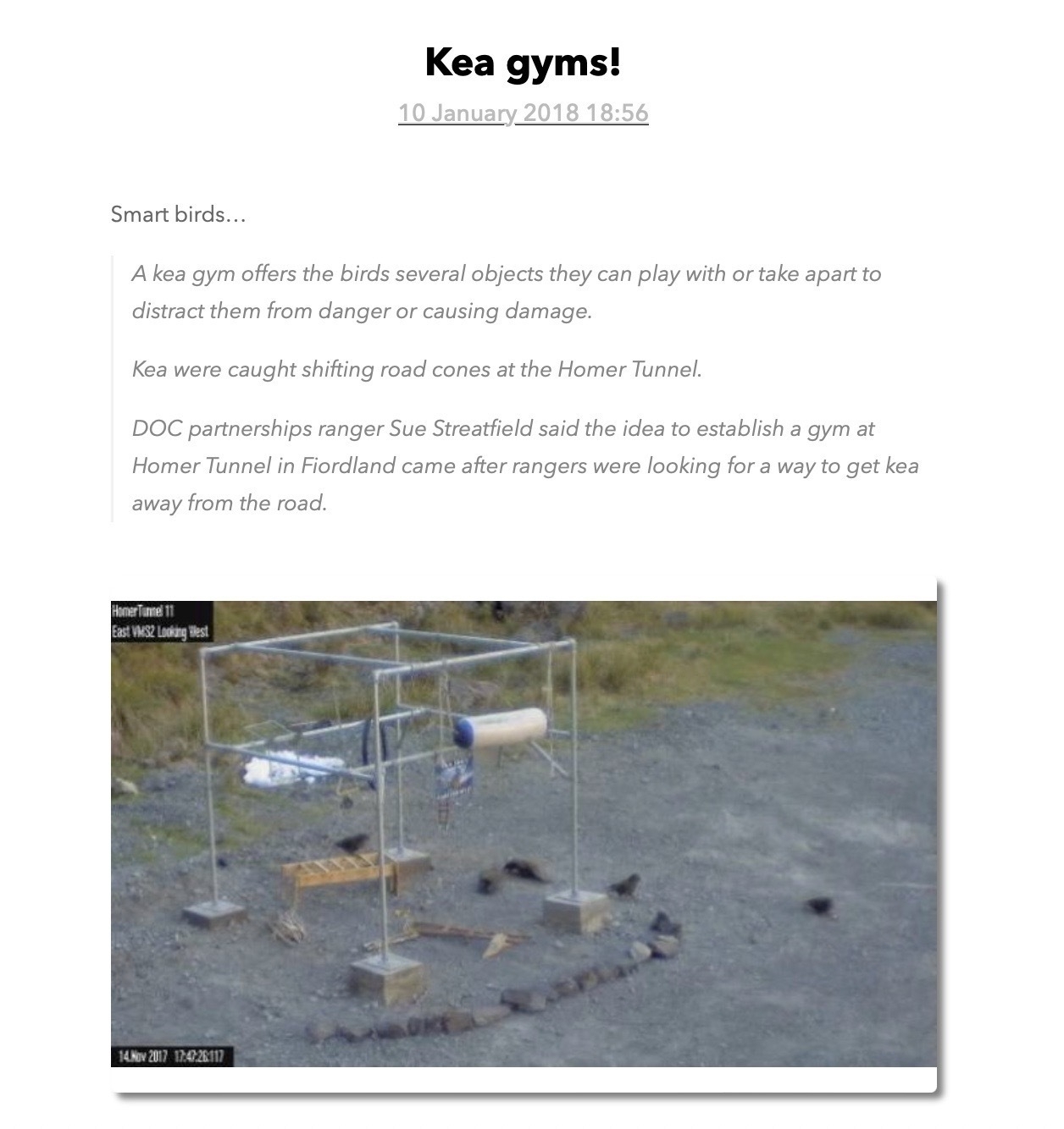 Screenshot of a blog post about Kea Gyms.