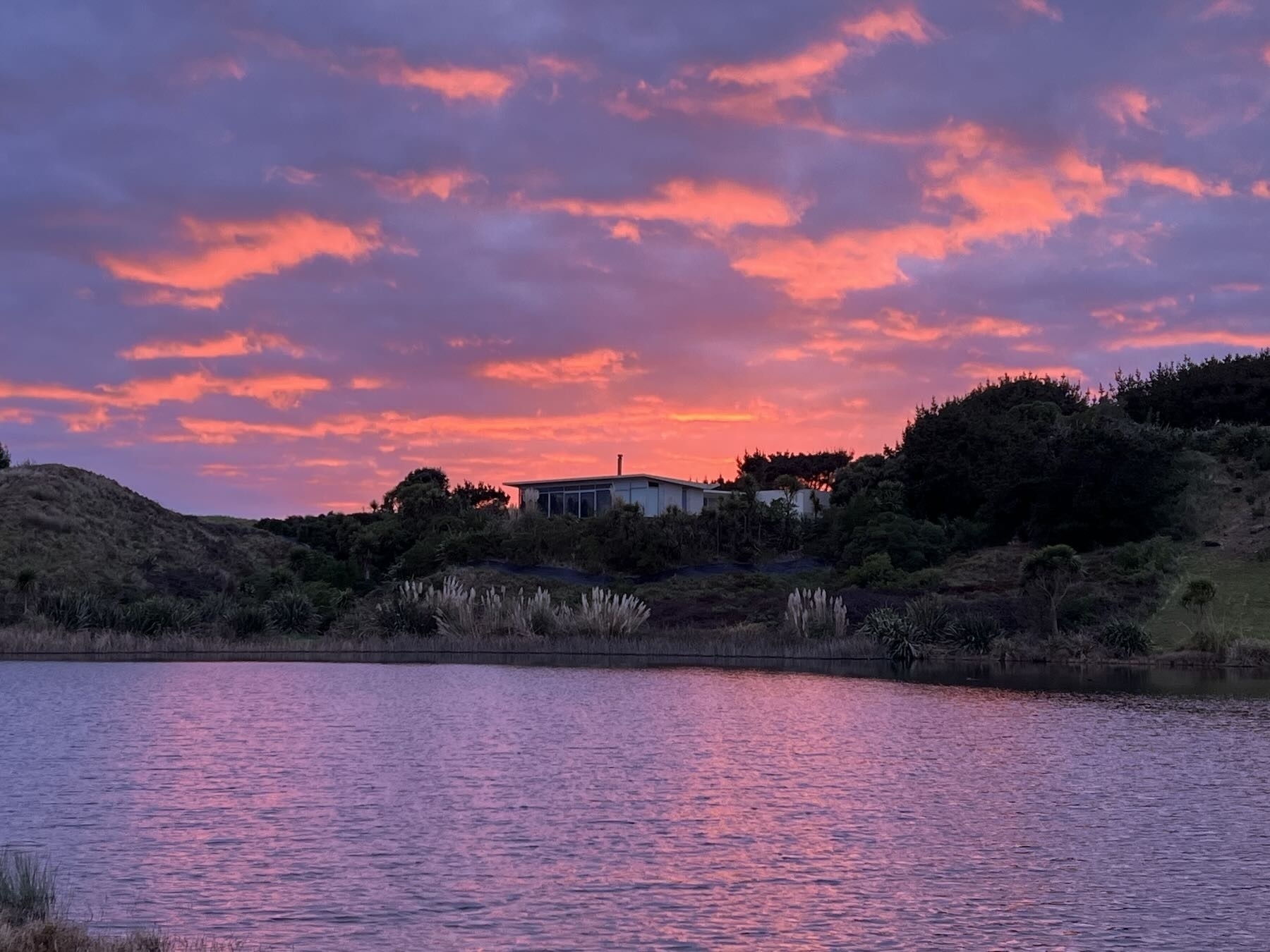 Peach sky and purple water.  