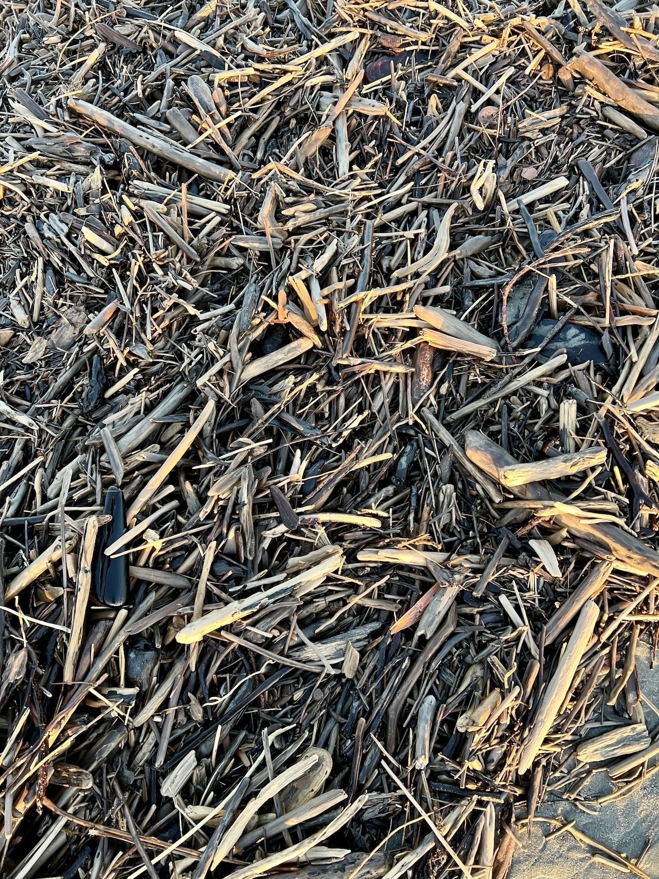 Driftwood mulch closeup. 