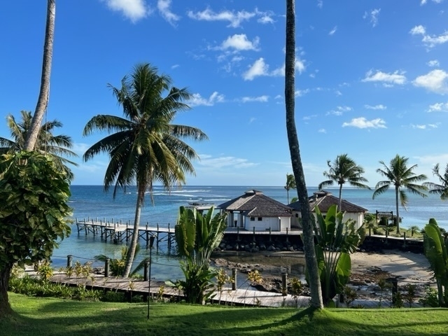 Palm trees and blue ocean. 