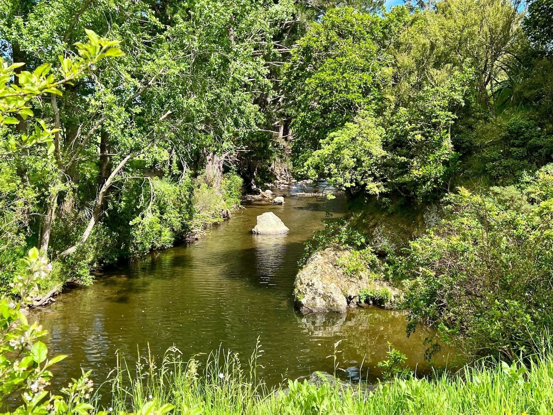 A stream surrounded by green trees. 