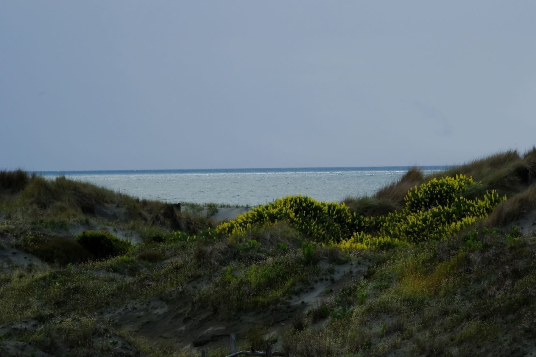 Marvellous colours of the sea behind the dunes. 