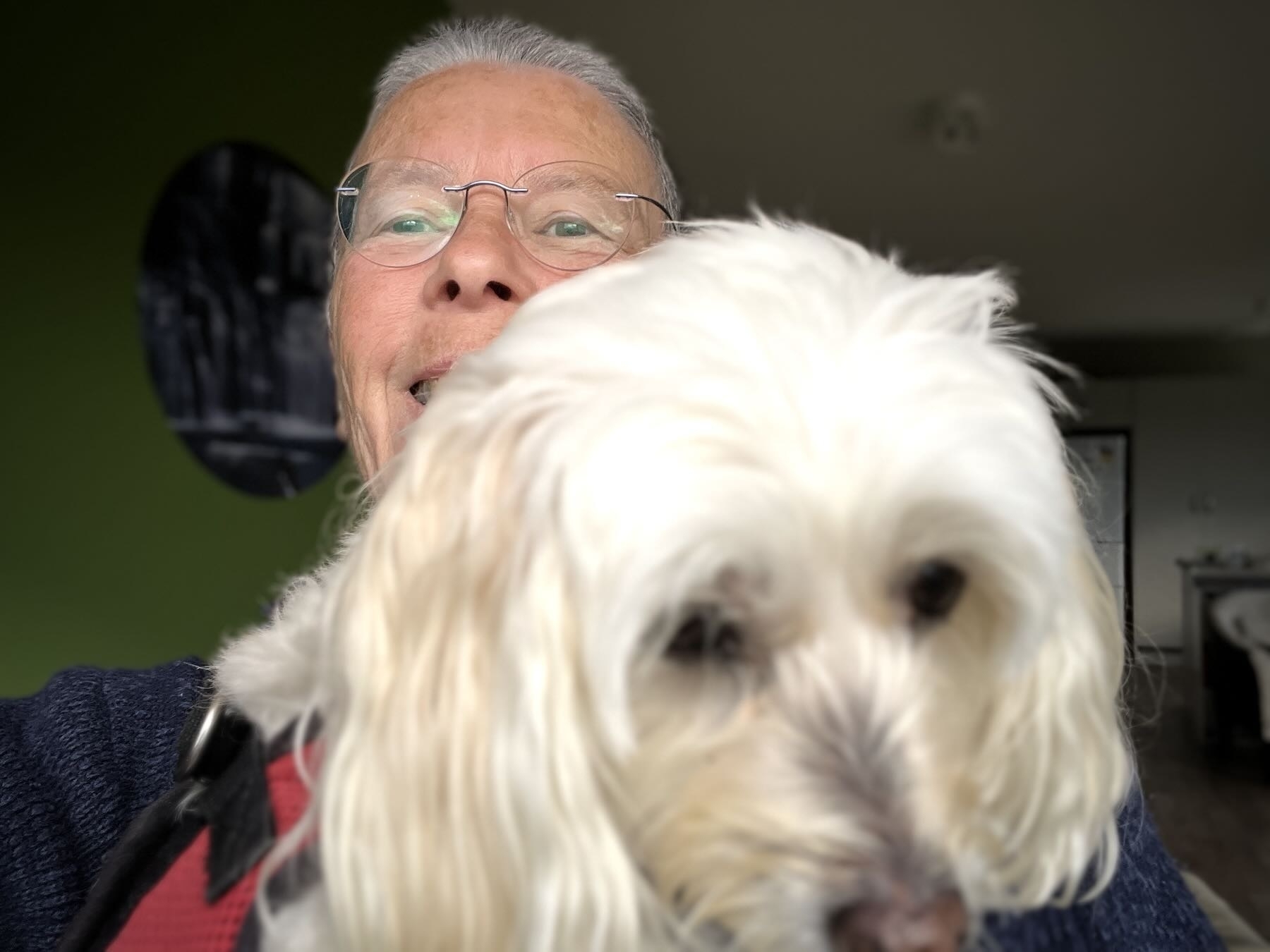 Selfie with a small white dog in my arms. The dog is a bit blurry and looking down. 