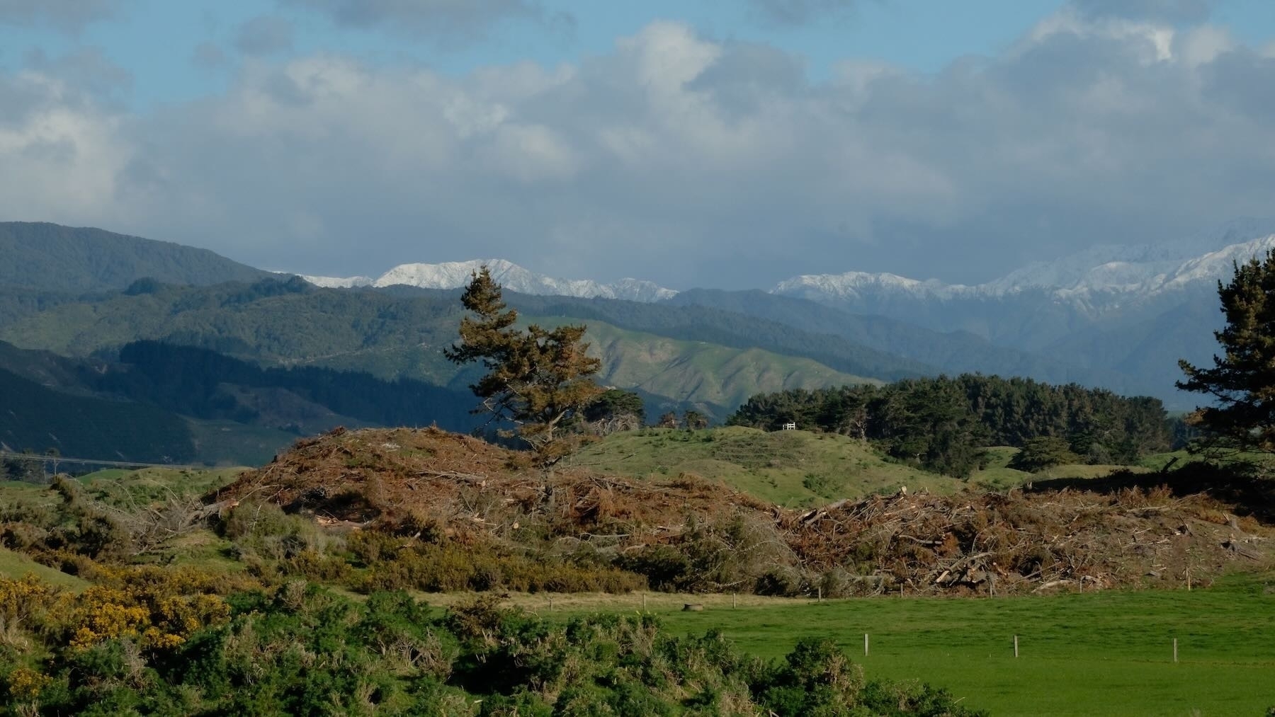 Snow cap 03Wide show of snowy mountain peaks behind paddocks. 