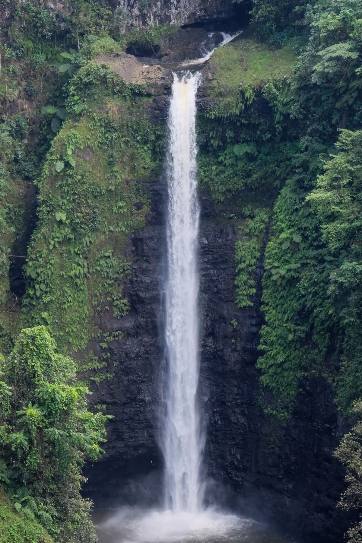 Waterfall down a rock face, with bright green vegetation beside. 