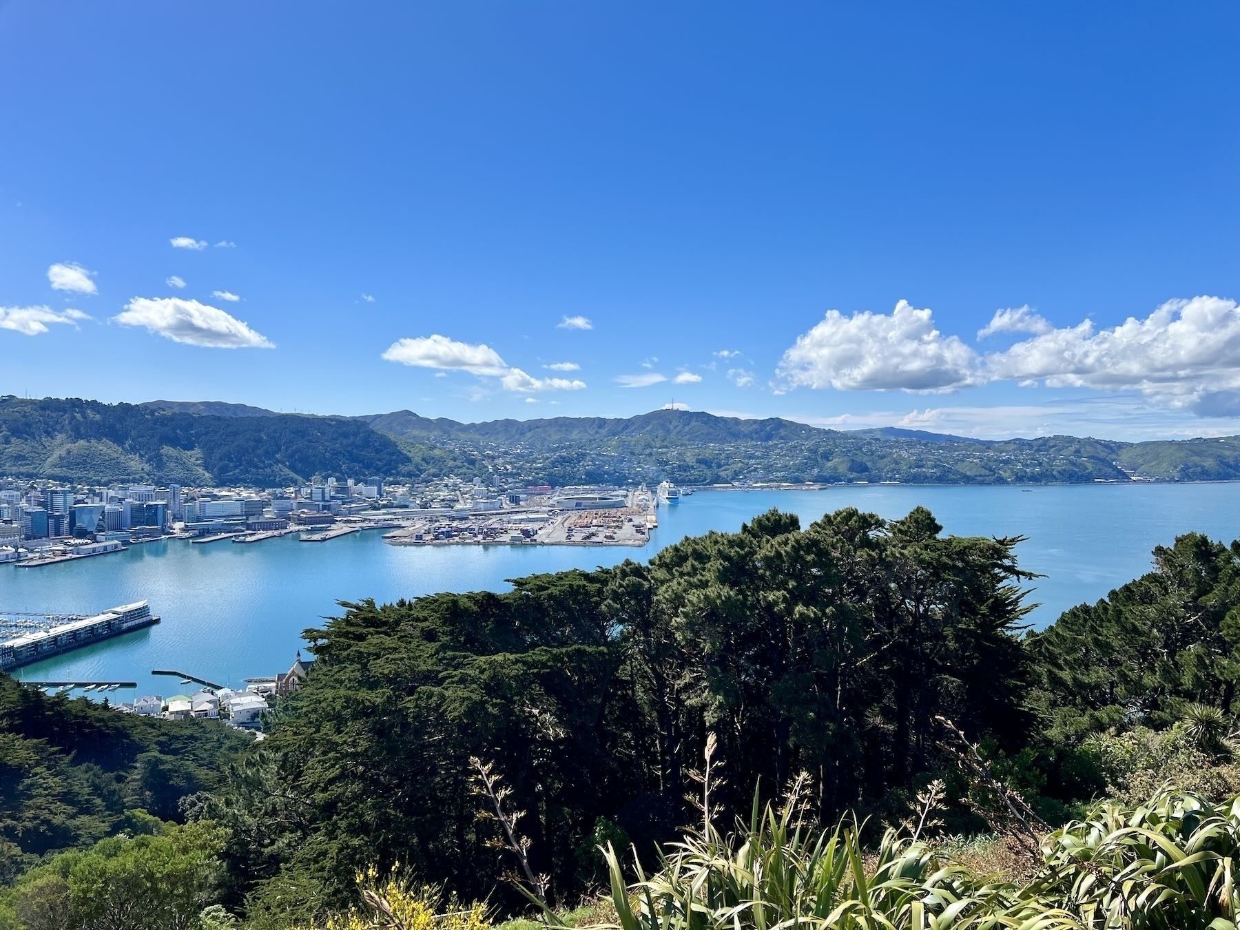 Wellington Harbour and hills, with departing cruise ship. 