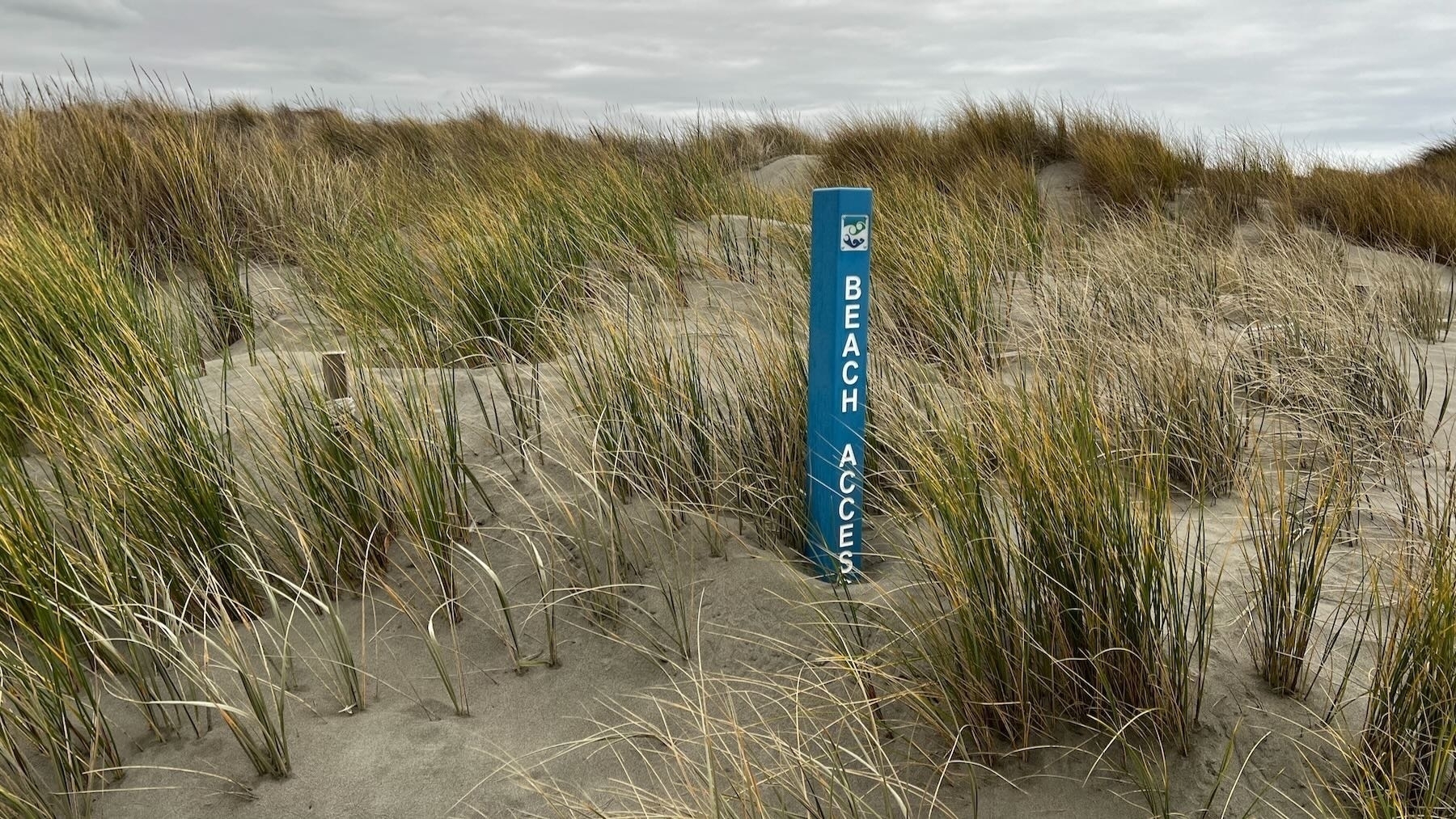 Beach access sign is slowly disappearing.