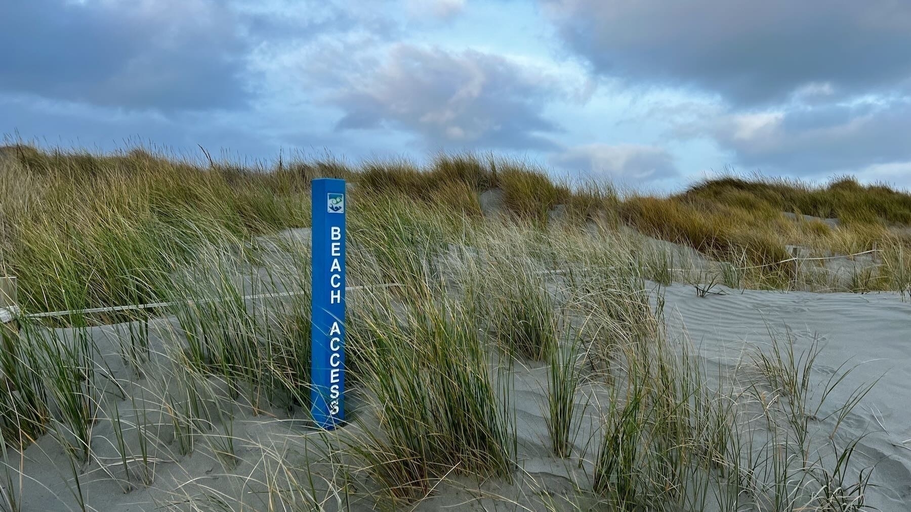 Blue post with the words Beach Access written from top to bottom. 