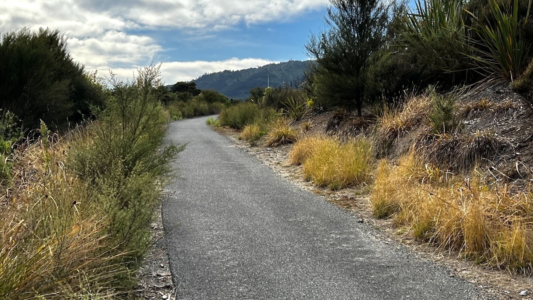 A section of sealed bike path with plants on either side and hills in the distance. 
