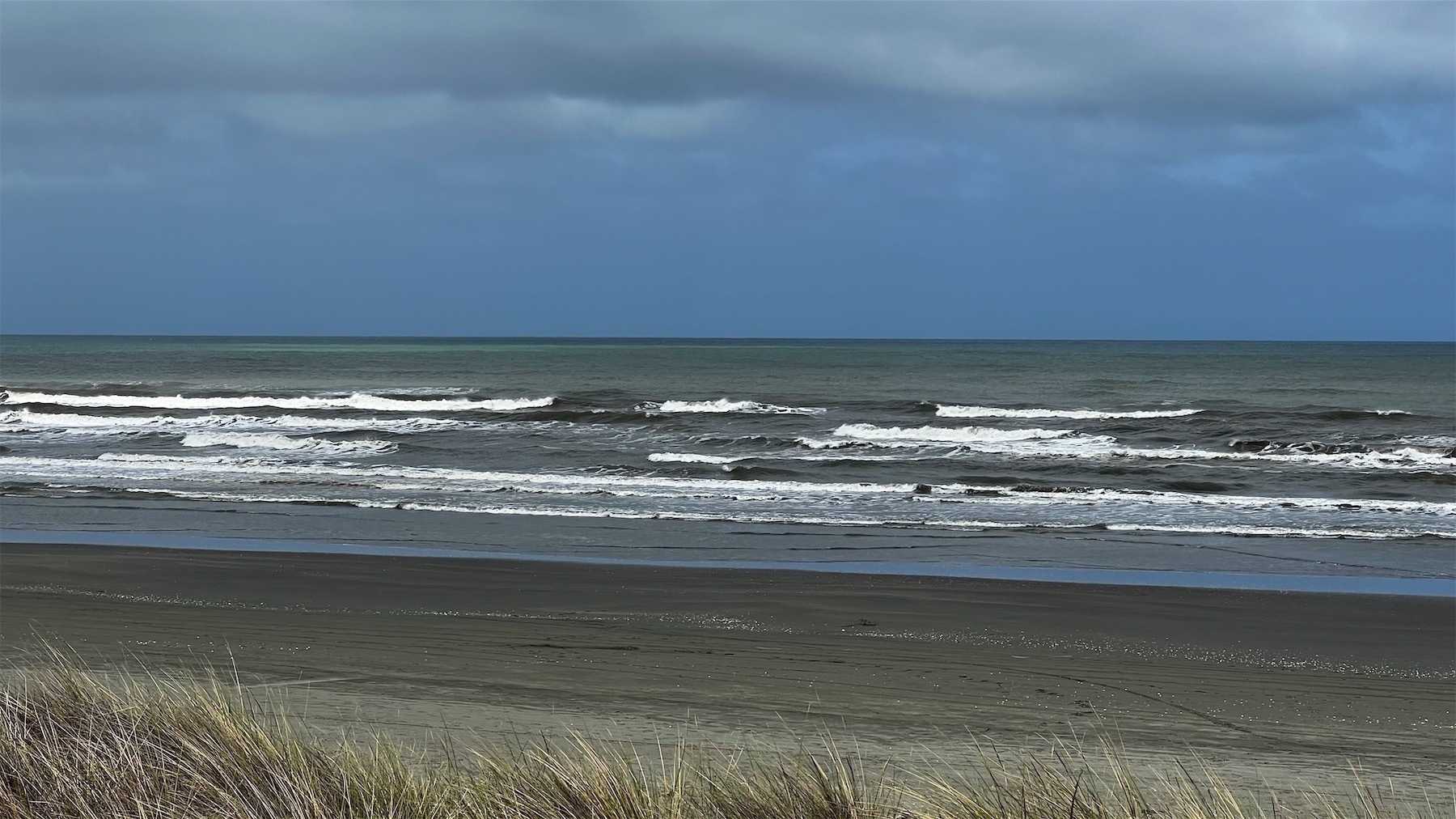 Dark sky, gunmetal grey sea with waves, grey beach and bright dunes plants. 