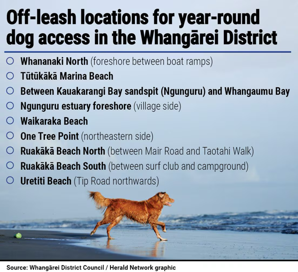 List of dog-friendly beaches near Whangārei.