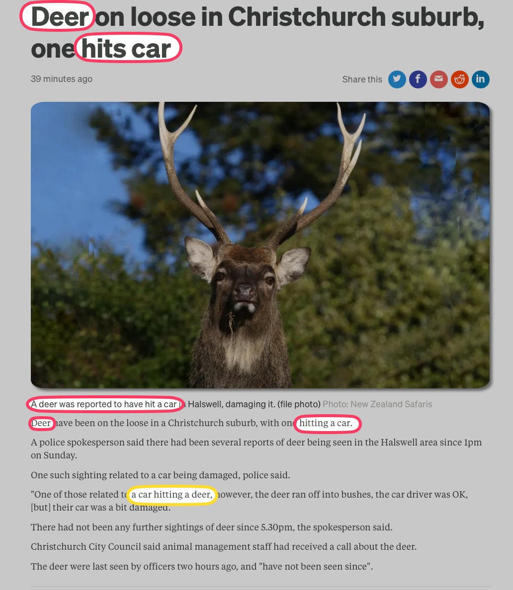 Deer hits car.