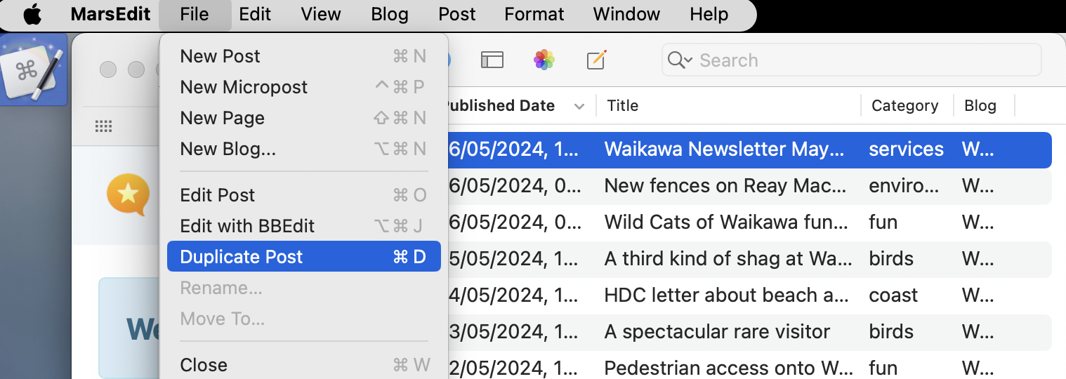 Select Duplicate Post from the File menu.