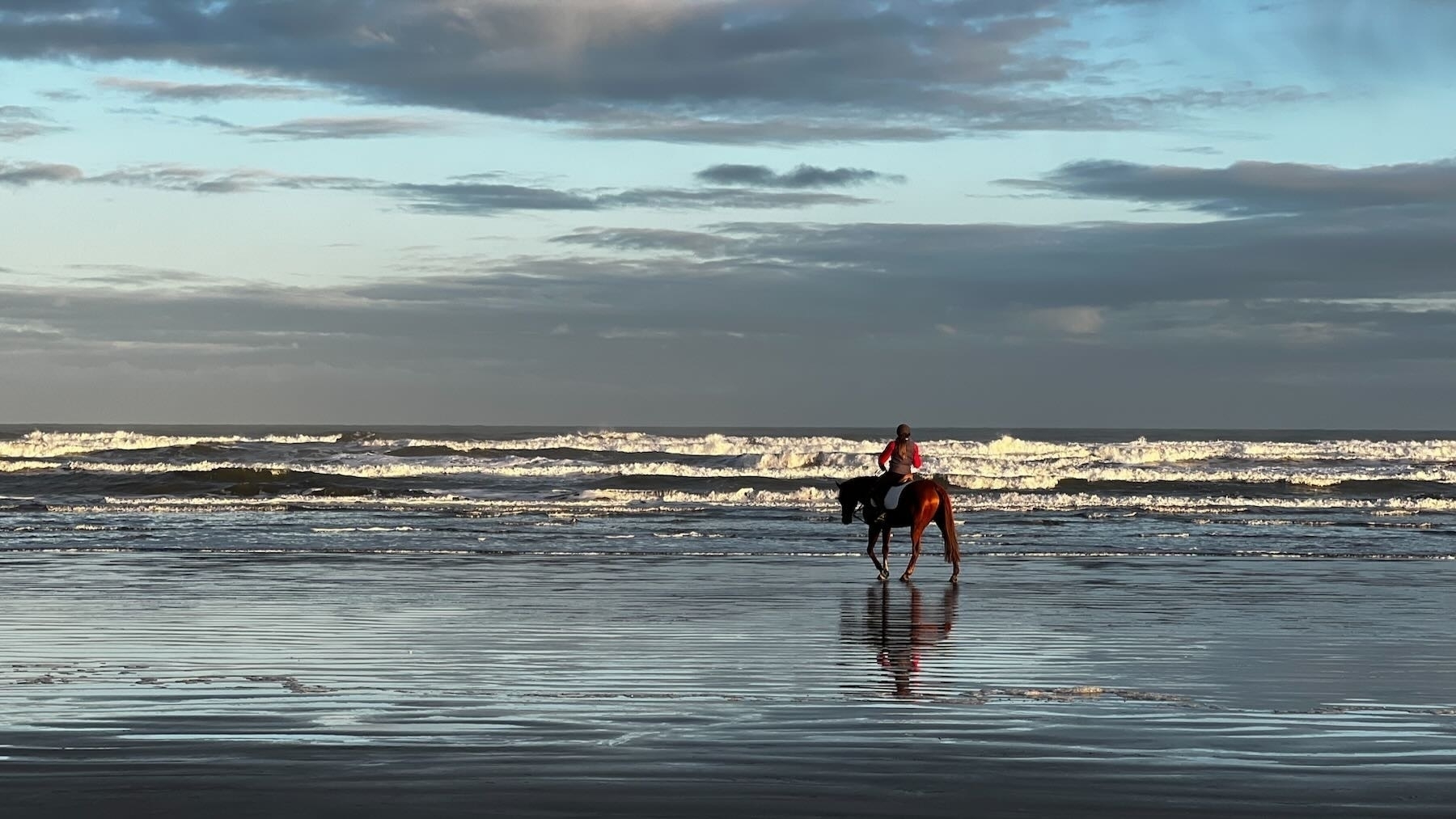 Horse and rider in shallow water at the beach.