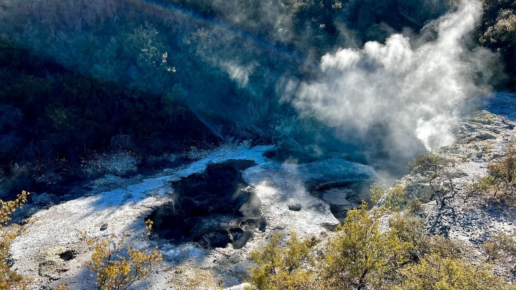 Small pool of mud surrounded by white rock and scrubby bushes, with steam lit by shafts of sun light. 
